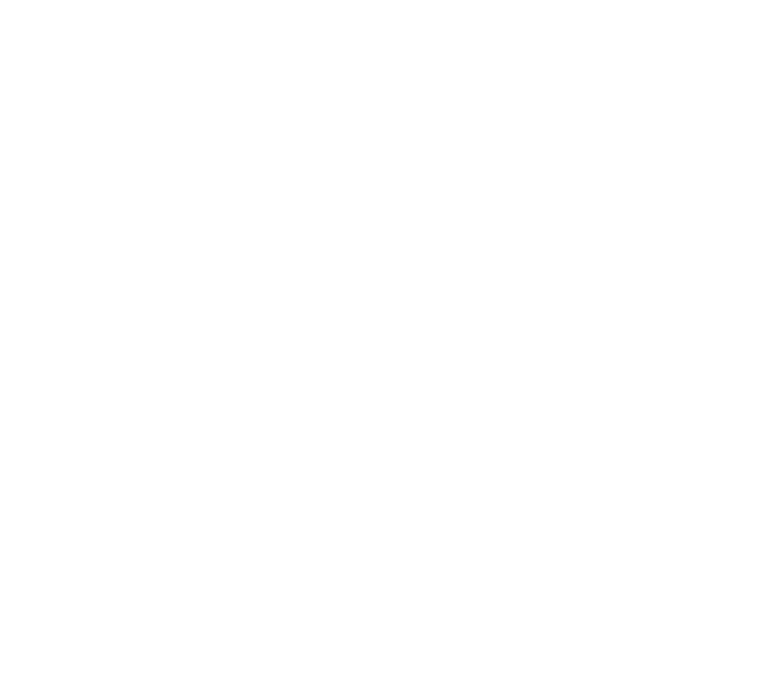 PZS LOGO